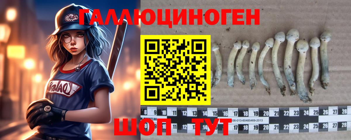 Псилоцибиновые грибы Psilocybine cubensis  Вход с VPN  Ессентуки 